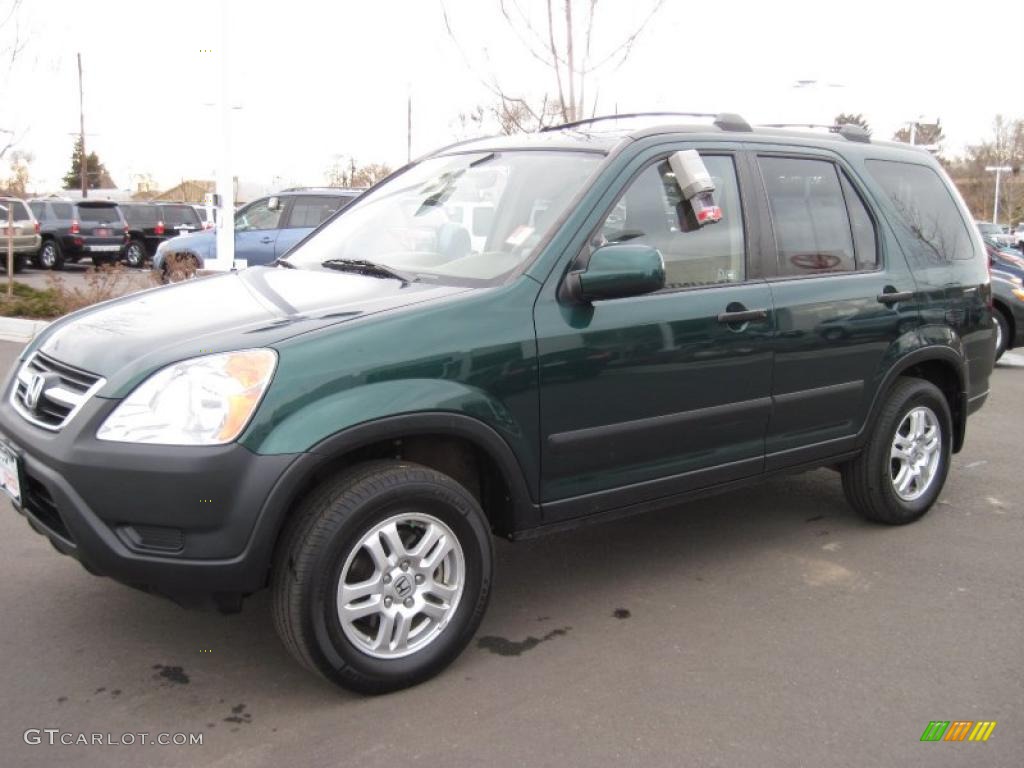 2003 CR-V EX 4WD - Clover Green Pearl / Saddle photo #5