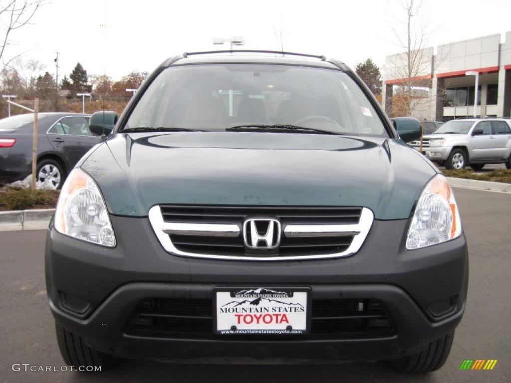 2003 CR-V EX 4WD - Clover Green Pearl / Saddle photo #6