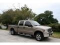 2005 Arizona Beige Metallic Ford F250 Super Duty Lariat Crew Cab 4x4  photo #13