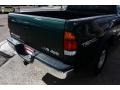 2002 Imperial Jade Green Mica Toyota Tundra SR5 Access Cab 4x4  photo #17