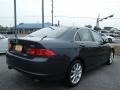 Carbon Gray Pearl - TSX Sedan Photo No. 5