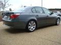 2007 Titanium Grey Metallic BMW 5 Series 530i Sedan  photo #6