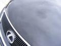 Obsidian Black - GS 460 Photo No. 12
