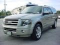 Vapor Silver Metallic - Expedition EL Limited 4x4 Photo No. 8