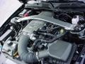 2010 Black Ford Mustang GT Premium Coupe  photo #15