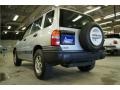 Silverleaf Metallic - Tracker 4WD Hard Top Photo No. 9