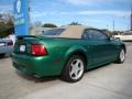 1999 Electric Green Metallic Ford Mustang GT Convertible  photo #7