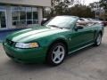 1999 Electric Green Metallic Ford Mustang GT Convertible  photo #22