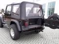Black - Wrangler Sport 4x4 Photo No. 14