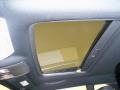 Detonator Yellow - Challenger SRT8 Photo No. 3
