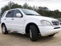 Polar White - ML 320 4Matic Photo No. 2