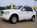 Polar White - ML 320 4Matic Photo No. 3