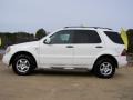 Polar White - ML 320 4Matic Photo No. 6