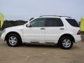 Polar White - ML 320 4Matic Photo No. 8