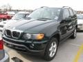 Oxford Green Metallic - X5 3.0i Photo No. 1