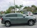 2009 Daytona Grey Pearl Effect Audi Q7 4.2 S-Line quattro  photo #7