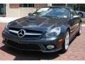 2009 Steel Grey Metallic Mercedes-Benz SL 550 Roadster  photo #20