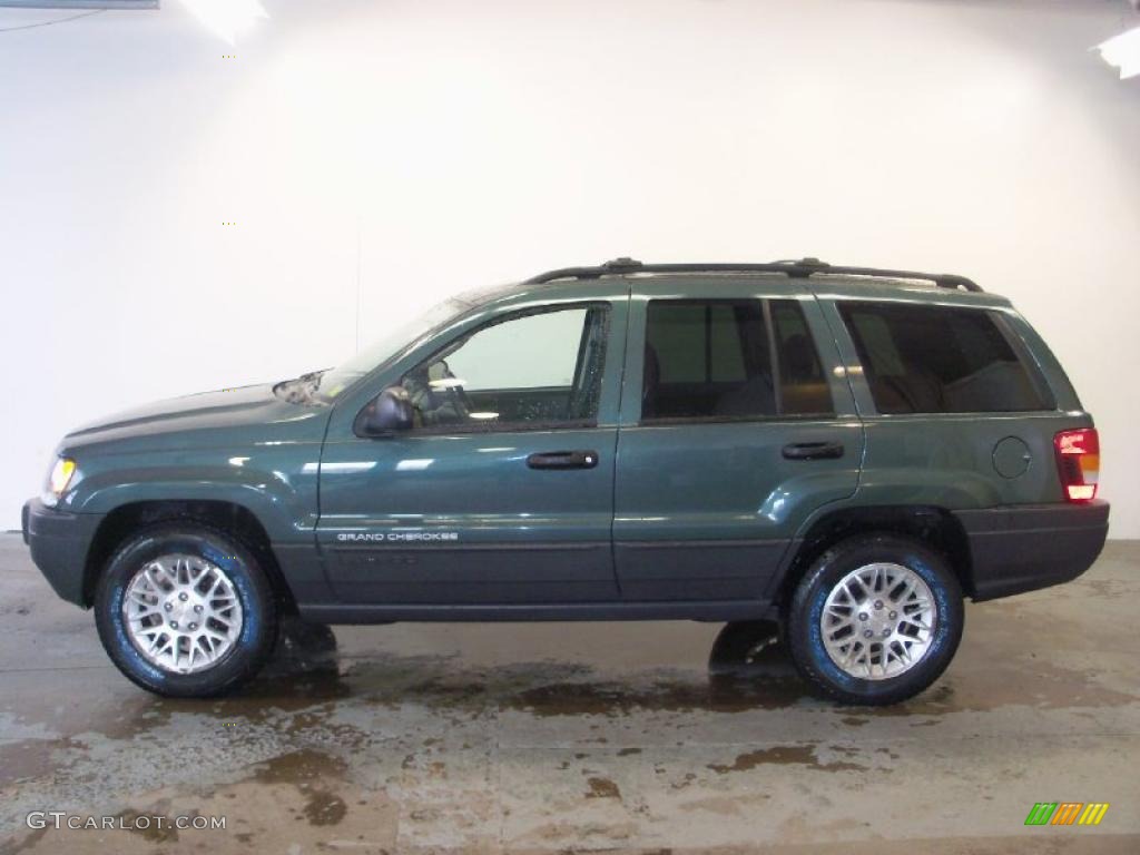 2004 Grand Cherokee Laredo 4x4 - Onyx Green Pearl / Dark Slate Gray photo #7