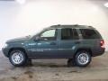 2004 Onyx Green Pearl Jeep Grand Cherokee Laredo 4x4  photo #7