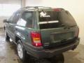 Onyx Green Pearl - Grand Cherokee Laredo 4x4 Photo No. 8