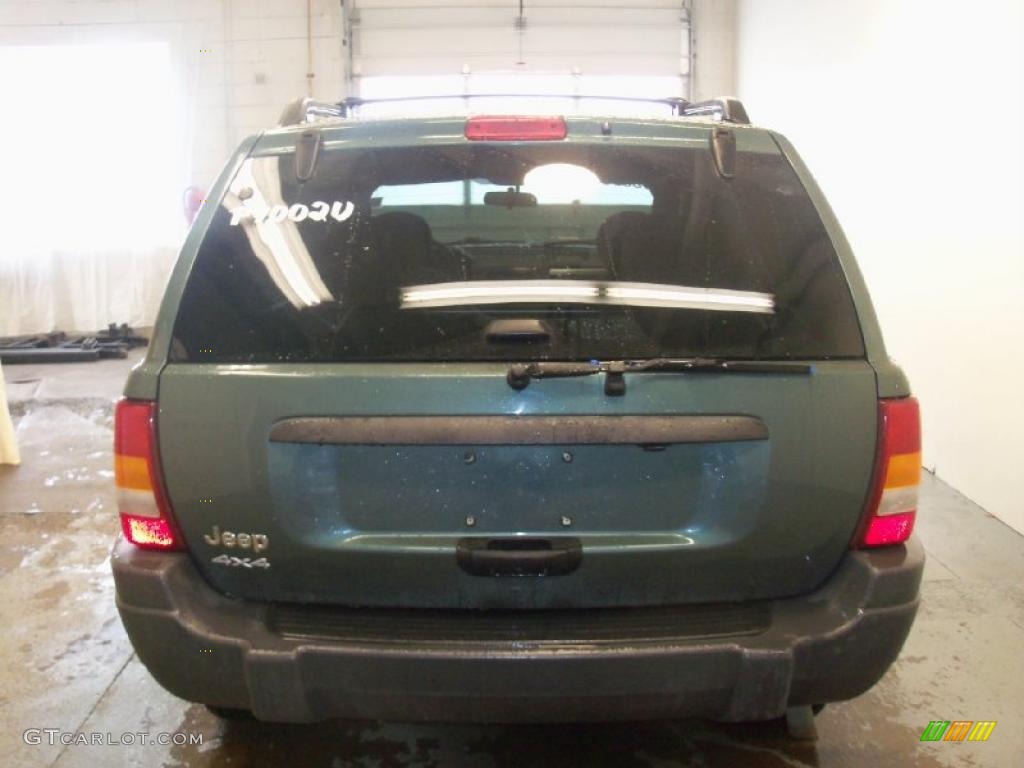 2004 Grand Cherokee Laredo 4x4 - Onyx Green Pearl / Dark Slate Gray photo #9