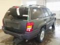 2004 Onyx Green Pearl Jeep Grand Cherokee Laredo 4x4  photo #10