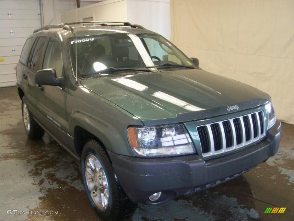 2004 Grand Cherokee Laredo 4x4 - Onyx Green Pearl / Dark Slate Gray photo #11