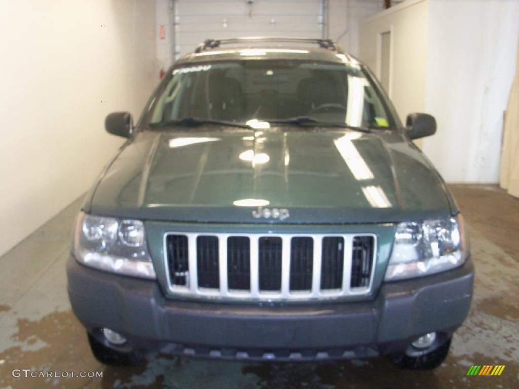 2004 Grand Cherokee Laredo 4x4 - Onyx Green Pearl / Dark Slate Gray photo #12