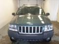 2004 Onyx Green Pearl Jeep Grand Cherokee Laredo 4x4  photo #12