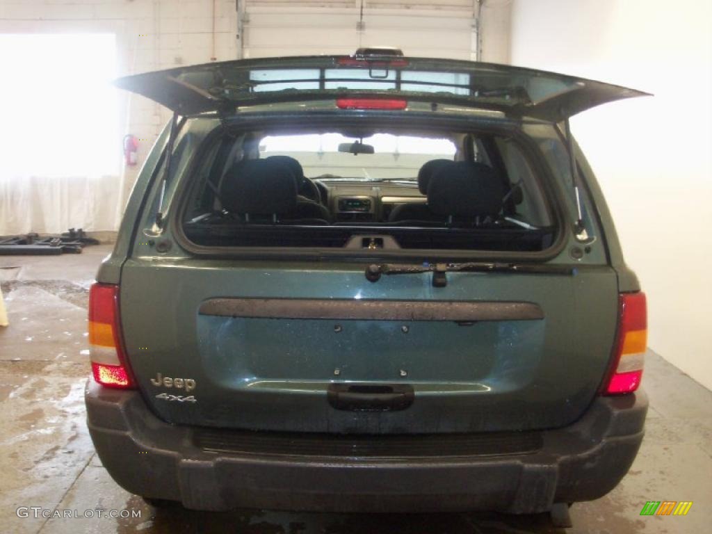 2004 Grand Cherokee Laredo 4x4 - Onyx Green Pearl / Dark Slate Gray photo #16