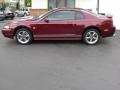 2004 40th Anniversary Crimson Red Metallic Ford Mustang GT Coupe  photo #11