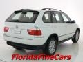 Alpine White - X5 3.0i Photo No. 2