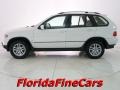 Alpine White - X5 3.0i Photo No. 3