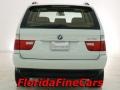 Alpine White - X5 3.0i Photo No. 6