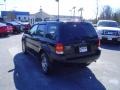 Black Clearcoat - Escape Limited 4WD Photo No. 7