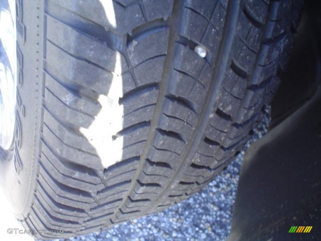 2004 Grand Marquis GS - Spruce Green Metallic / Light Flint photo #11