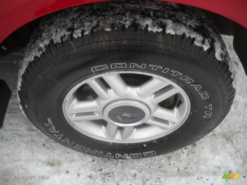 2003 Expedition XLT 4x4 - Laser Red Tinted Metallic / Flint Grey photo #13