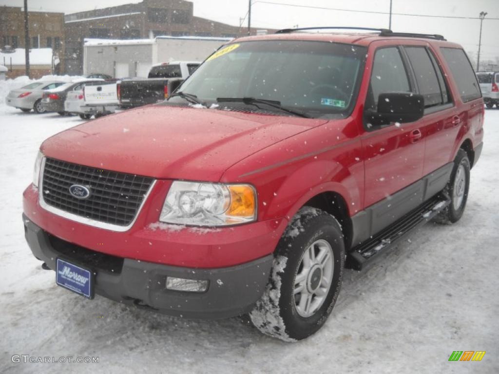 2003 Expedition XLT 4x4 - Laser Red Tinted Metallic / Flint Grey photo #18