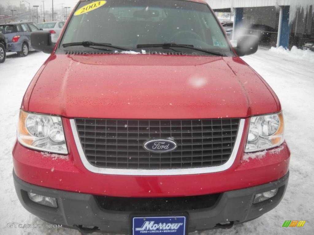 2003 Expedition XLT 4x4 - Laser Red Tinted Metallic / Flint Grey photo #19