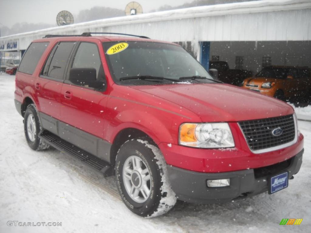 2003 Expedition XLT 4x4 - Laser Red Tinted Metallic / Flint Grey photo #20