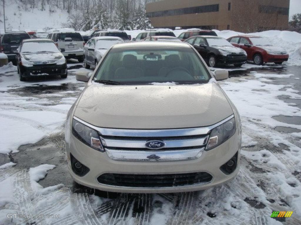 2010 Fusion SE - Smokestone Metallic / Camel photo #8