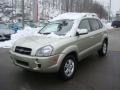 2007 Desert Sage Metallic Hyundai Tucson Limited  photo #5