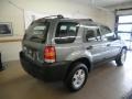 2007 Titanium Green Metallic Ford Escape XLS  photo #5