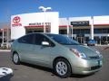 Silver Pine Mica - Prius Hybrid Photo No. 1