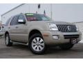 Silver Birch Metallic - Mountaineer Premier AWD Photo No. 1