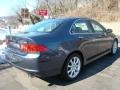 Carbon Gray Pearl - TSX Sedan Photo No. 4