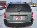 2007 Titanium Green Metallic Ford Escape XLT  photo #4