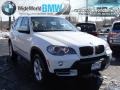 Alpine White - X5 3.0si Photo No. 3