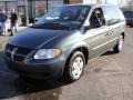 2003 Onyx Green Pearl Dodge Caravan SE  photo #1