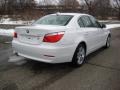 2010 Alpine White BMW 5 Series 528i xDrive Sedan  photo #22